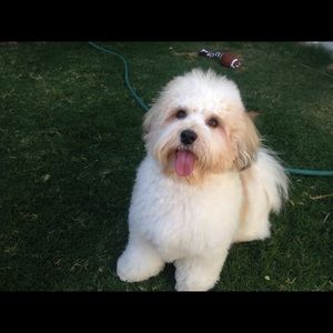 Meet your Posher, James